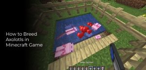 How to Breed Axolotls in Minecraft