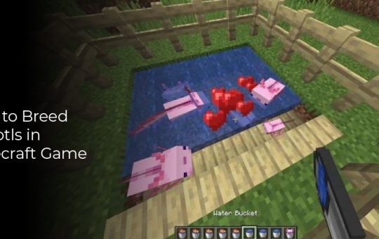 How to Breed Axolotls in Minecraft