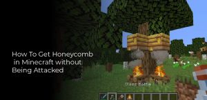 How to Get Honeycomb in Minecraft