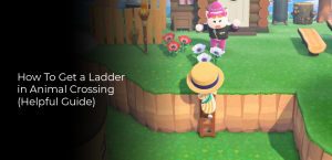 how to get a ladder in animal crossing